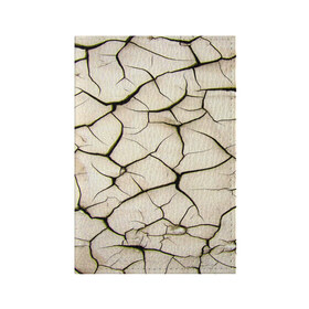 Обложка для паспорта матовая кожа с принтом Dry Soil в Петрозаводске, натуральная матовая кожа | размер 19,3 х 13,7 см; прозрачные пластиковые крепления | Тематика изображения на принте: земля | пустыня | трещины