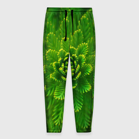 Мужские брюки 3D с принтом зеленый цветок в Петрозаводске, 100% полиэстер | манжеты по низу, эластичный пояс регулируется шнурком, по бокам два кармана без застежек, внутренняя часть кармана из мелкой сетки | зелень | красота | лето | листья | солнце | цветок