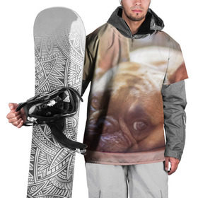 Накидка на куртку 3D с принтом французский бульдог в Петрозаводске, 100% полиэстер |  | Тематика изображения на принте: dog | бульдог | друг | собака | язык