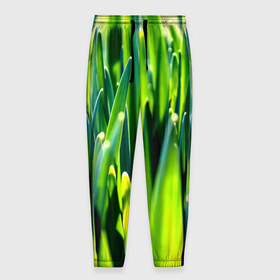 Мужские брюки 3D с принтом Трава в Петрозаводске, 100% полиэстер | манжеты по низу, эластичный пояс регулируется шнурком, по бокам два кармана без застежек, внутренняя часть кармана из мелкой сетки | зелень | лето | природа | растения | солнце