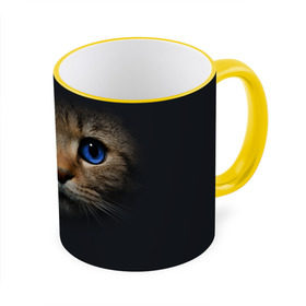 Кружка 3D с принтом Кот с синими глазами в Петрозаводске, керамика | ёмкость 330 мл | Тематика изображения на принте: кот | котенок | кошка | мордочка