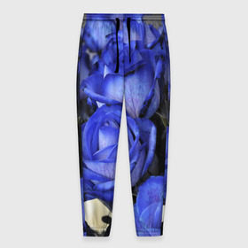 Мужские брюки 3D с принтом Синие розы в Петрозаводске, 100% полиэстер | манжеты по низу, эластичный пояс регулируется шнурком, по бокам два кармана без застежек, внутренняя часть кармана из мелкой сетки | девушкам | розы | синие | цветы