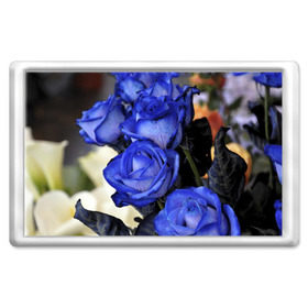 Магнит 45*70 с принтом Синие розы в Петрозаводске, Пластик | Размер: 78*52 мм; Размер печати: 70*45 | Тематика изображения на принте: девушкам | розы | синие | цветы