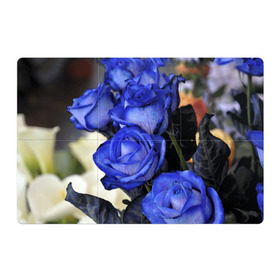 Магнитный плакат 3Х2 с принтом Синие розы в Петрозаводске, Полимерный материал с магнитным слоем | 6 деталей размером 9*9 см | Тематика изображения на принте: девушкам | розы | синие | цветы