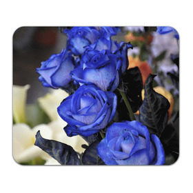 Коврик прямоугольный с принтом Синие розы в Петрозаводске, натуральный каучук | размер 230 х 185 мм; запечатка лицевой стороны | Тематика изображения на принте: девушкам | розы | синие | цветы