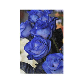 Обложка для паспорта матовая кожа с принтом Синие розы в Петрозаводске, натуральная матовая кожа | размер 19,3 х 13,7 см; прозрачные пластиковые крепления | девушкам | розы | синие | цветы