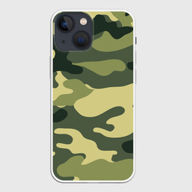 Чехол для iPhone 13 mini с принтом камуфляж в Петрозаводске,  |  | армия | камуфляж | милитари | силовые структуры