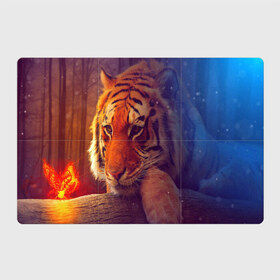 Магнитный плакат 3Х2 с принтом Тигр в Петрозаводске, Полимерный материал с магнитным слоем | 6 деталей размером 9*9 см | лев | тигр