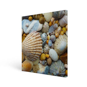 Холст квадратный с принтом Морские ракушки и камни в Петрозаводске, 100% ПВХ |  | камни | море | морские камни | ракушки