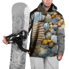 Накидка на куртку 3D с принтом Морские ракушки и камни в Петрозаводске, 100% полиэстер |  | камни | море | морские камни | ракушки