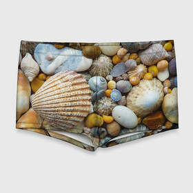 Мужские купальные плавки 3D с принтом Морские ракушки и камни в Петрозаводске, Полиэстер 85%, Спандекс 15% |  | Тематика изображения на принте: камни | море | морские камни | ракушки
