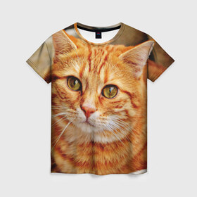 Женская футболка 3D с принтом кот в Петрозаводске, 100% полиэфир ( синтетическое хлопкоподобное полотно) | прямой крой, круглый вырез горловины, длина до линии бедер | cat | взгляд | глаза | киса | кот | котенок | котик