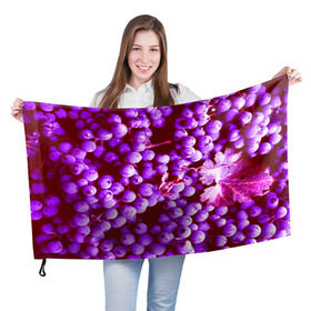 Флаг 3D с принтом Виноград в Петрозаводске, 100% полиэстер | плотность ткани — 95 г/м2, размер — 67 х 109 см. Принт наносится с одной стороны | 