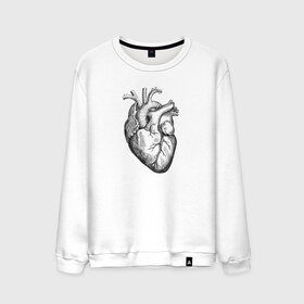 Мужской свитшот хлопок с принтом Heart в Петрозаводске, 100% хлопок |  | вектор | карандаш | кардиология | кровь | мышца | орган | пульс | рисунок | сердце | черный