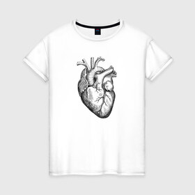 Женская футболка хлопок с принтом Heart в Петрозаводске, 100% хлопок | прямой крой, круглый вырез горловины, длина до линии бедер, слегка спущенное плечо | вектор | карандаш | кардиология | кровь | мышца | орган | пульс | рисунок | сердце | черный