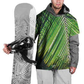 Накидка на куртку 3D с принтом пальмы в Петрозаводске, 100% полиэстер |  | sea | summer | берег | лето | море | океан | отдых | пальмы | пляж | солнце