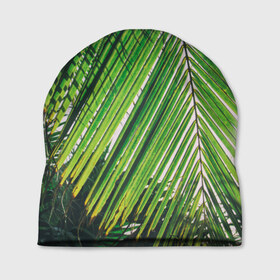 Шапка 3D с принтом пальмы в Петрозаводске, 100% полиэстер | универсальный размер, печать по всей поверхности изделия | Тематика изображения на принте: sea | summer | берег | лето | море | океан | отдых | пальмы | пляж | солнце