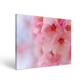 Холст прямоугольный с принтом Сакура в Петрозаводске, 100% ПВХ |  | весна | вишня | розовый | цветение | цветы | япония