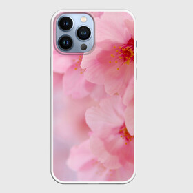 Чехол для iPhone 13 Pro Max с принтом Сакура в Петрозаводске,  |  | Тематика изображения на принте: весна | вишня | розовый | цветение | цветы | япония