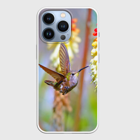 Чехол для iPhone 13 Pro с принтом Колибри в Петрозаводске,  |  | Тематика изображения на принте: лепесток | новая | природа | птичка | цветок | яркая