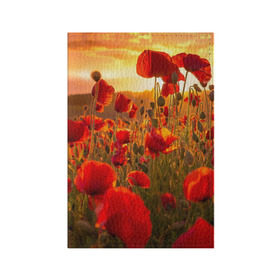 Обложка для паспорта матовая кожа с принтом Маки в Петрозаводске, натуральная матовая кожа | размер 19,3 х 13,7 см; прозрачные пластиковые крепления | field | flowers | meadow | nature | poppies | red | sky | summer | sun | sunset | wild | закат | красные | лето | луг | маки | небо | поле | полевые | природа | солнце | цветы