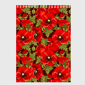 Скетчбук с принтом Маки в Петрозаводске, 100% бумага
 | 48 листов, плотность листов — 100 г/м2, плотность картонной обложки — 250 г/м2. Листы скреплены сверху удобной пружинной спиралью | flowers | poppies | red | wild | красные | мак | маки | полевые | цветы