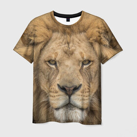 Мужская футболка 3D с принтом Лев в Петрозаводске, 100% полиэфир | прямой крой, круглый вырез горловины, длина до линии бедер | грива | джунгли | животные | зверь | король | кровь | лев | охотник | хищник | царь