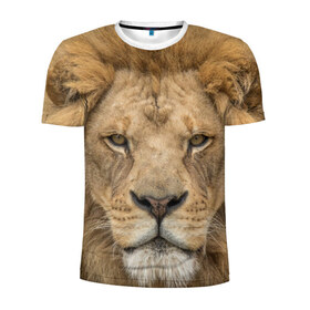 Мужская футболка 3D спортивная с принтом Лев в Петрозаводске, 100% полиэстер с улучшенными характеристиками | приталенный силуэт, круглая горловина, широкие плечи, сужается к линии бедра | грива | джунгли | животные | зверь | король | кровь | лев | охотник | хищник | царь