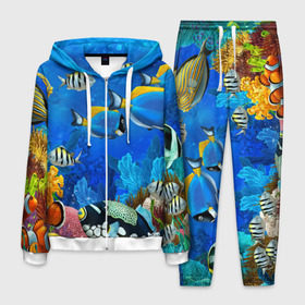 Мужской костюм 3D с принтом Экзотические рыбки в Петрозаводске, 100% полиэстер | Манжеты и пояс оформлены тканевой резинкой, двухслойный капюшон со шнурком для регулировки, карманы спереди | животые | красочные | морские | рыбки | цветные | экзотические