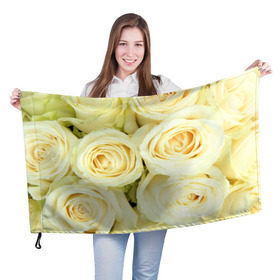 Флаг 3D с принтом Белые розы в Петрозаводске, 100% полиэстер | плотность ткани — 95 г/м2, размер — 67 х 109 см. Принт наносится с одной стороны | лепестки | розы | цветы