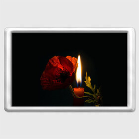 Магнит 45*70 с принтом Мак и свеча в Петрозаводске, Пластик | Размер: 78*52 мм; Размер печати: 70*45 | Тематика изображения на принте: маки | свеча | цветы