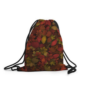 Рюкзак-мешок 3D с принтом Осенние листья в Петрозаводске, 100% полиэстер | плотность ткани — 200 г/м2, размер — 35 х 45 см; лямки — толстые шнурки, застежка на шнуровке, без карманов и подкладки | 