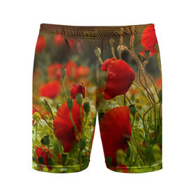 Мужские шорты 3D спортивные с принтом Маки в Петрозаводске,  |  | field | flowers | meadow | nature | poppies | poppy | red | summer | wild | красные | лето | луг | мак | маки | поле | полевые | природа | цветы
