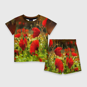 Детский костюм с шортами 3D с принтом Маки в Петрозаводске,  |  | field | flowers | meadow | nature | poppies | poppy | red | summer | wild | красные | лето | луг | мак | маки | поле | полевые | природа | цветы