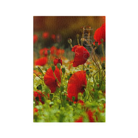 Обложка для паспорта матовая кожа с принтом Маки в Петрозаводске, натуральная матовая кожа | размер 19,3 х 13,7 см; прозрачные пластиковые крепления | field | flowers | meadow | nature | poppies | poppy | red | summer | wild | красные | лето | луг | мак | маки | поле | полевые | природа | цветы