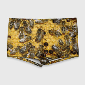 Мужские купальные плавки 3D с принтом Пчела в Петрозаводске, Полиэстер 85%, Спандекс 15% |  | лето | мед | насекомые | оса | природа | пчелы | шмель