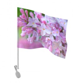 Флаг для автомобиля с принтом Сирень в Петрозаводске, 100% полиэстер | Размер: 30*21 см | лепестки | прикольные картинки | цветочки | цветы