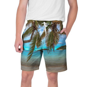 Мужские шорты 3D с принтом Пальма в Петрозаводске,  полиэстер 100% | прямой крой, два кармана без застежек по бокам. Мягкая трикотажная резинка на поясе, внутри которой широкие завязки. Длина чуть выше колен | Тематика изображения на принте: море | отдых | отпуск | пальмы | пляж | солнце | туризм