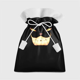Подарочный 3D мешок с принтом Чеширский кот в Петрозаводске, 100% полиэстер | Размер: 29*39 см | Тематика изображения на принте: кот | кошка