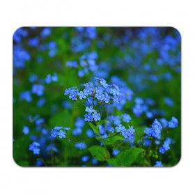 Коврик прямоугольный с принтом синие цветочки в Петрозаводске, натуральный каучук | размер 230 х 185 мм; запечатка лицевой стороны | 