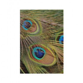 Обложка для паспорта матовая кожа с принтом перо павлина в Петрозаводске, натуральная матовая кожа | размер 19,3 х 13,7 см; прозрачные пластиковые крепления | Тематика изображения на принте: павлин | перо | перышки | птица