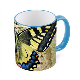 Кружка 3D с принтом бабочка в Петрозаводске, керамика | ёмкость 330 мл | Тематика изображения на принте: бабочка | мотылек | насекомые
