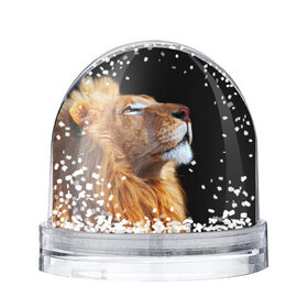 Снежный шар с принтом Лев в Петрозаводске, Пластик | Изображение внутри шара печатается на глянцевой фотобумаге с двух сторон | lion | лев | хищник