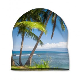 Шапка 3D с принтом Пальмы в Петрозаводске, 100% полиэстер | универсальный размер, печать по всей поверхности изделия | море | отдых | отпуск | пальмы | пляж | солнце | туризм