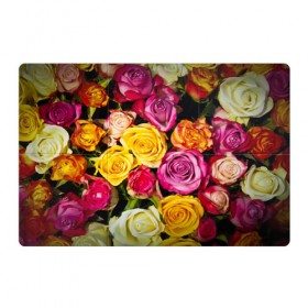 Магнитный плакат 3Х2 с принтом Розы в Петрозаводске, Полимерный материал с магнитным слоем | 6 деталей размером 9*9 см | букет | растения | розы | цветы