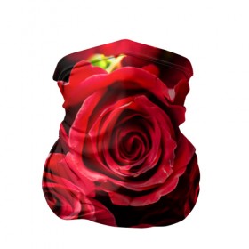 Бандана-труба 3D с принтом Розы в Петрозаводске, 100% полиэстер, ткань с особыми свойствами — Activecool | плотность 150‒180 г/м2; хорошо тянется, но сохраняет форму | красный | лепестки | прикольные картинки | розы | цветочки | цветы