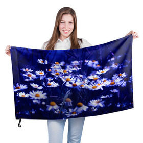 Флаг 3D с принтом Ромашки в Петрозаводске, 100% полиэстер | плотность ткани — 95 г/м2, размер — 67 х 109 см. Принт наносится с одной стороны | лепестки | прикольные картинки | ромашки | цветочки | цветы