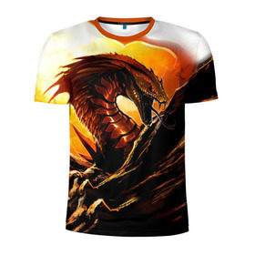 Мужская футболка 3D спортивная с принтом Дракон в Петрозаводске, 100% полиэстер с улучшенными характеристиками | приталенный силуэт, круглая горловина, широкие плечи, сужается к линии бедра | дракон | змей | монстр | огонь | пламя | прикольные картинки