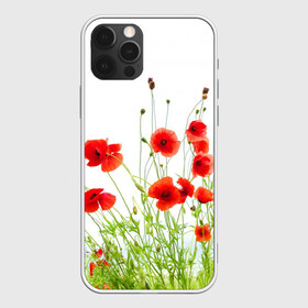 Чехол для iPhone 12 Pro Max с принтом Маки в Петрозаводске, Силикон |  | field | flowers | meadow | nature | poppies | poppy | red | summer | wild | красные | лето | луг | мак | маки | поле | полевые | природа | цветы