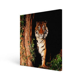 Холст квадратный с принтом Тигр в Петрозаводске, 100% ПВХ |  | Тематика изображения на принте: дикая кошка | лес | природа | тигр | хищник